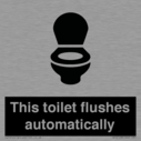 this-toilet-flushes-automatically~
